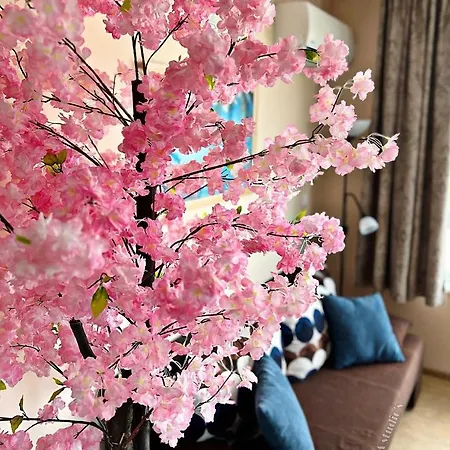 Avrora Studio's アパート