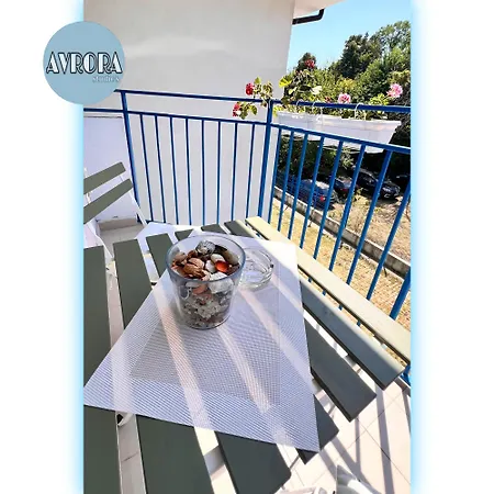 Avrora Studio's ビャラ