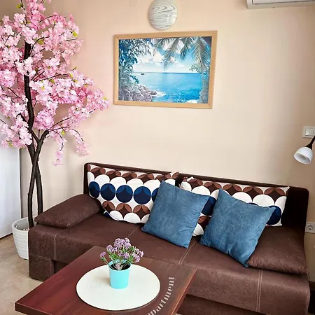 Avrora Studio's * Byala (Varna)